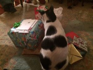 December Life in Progress 2