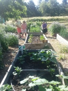 Imperial Way Garden Beds