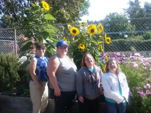 It’s Harvest Time at Imperial Way